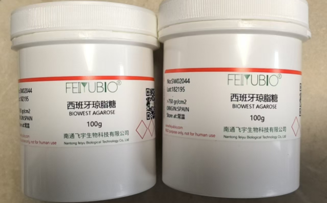 西班牙瓊脂糖BIOWEST AGAROSE