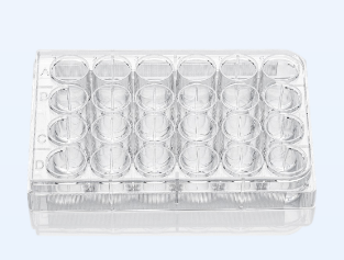 超低吸附24孔細(xì)胞培養(yǎng)板