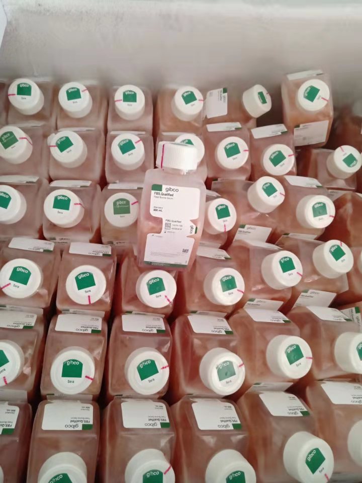 DMEM/高糖(含高糖、L-谷氨酰胺、酚紅，不含丙酮酸鈉、HEPES、磷酸鹽)產(chǎn)品已下架